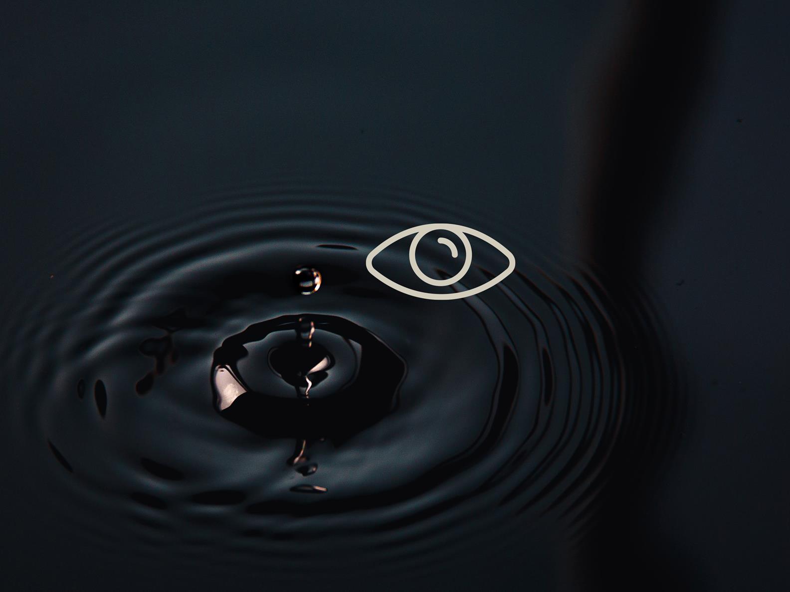 Subarticle SPA Story_5 senses_see