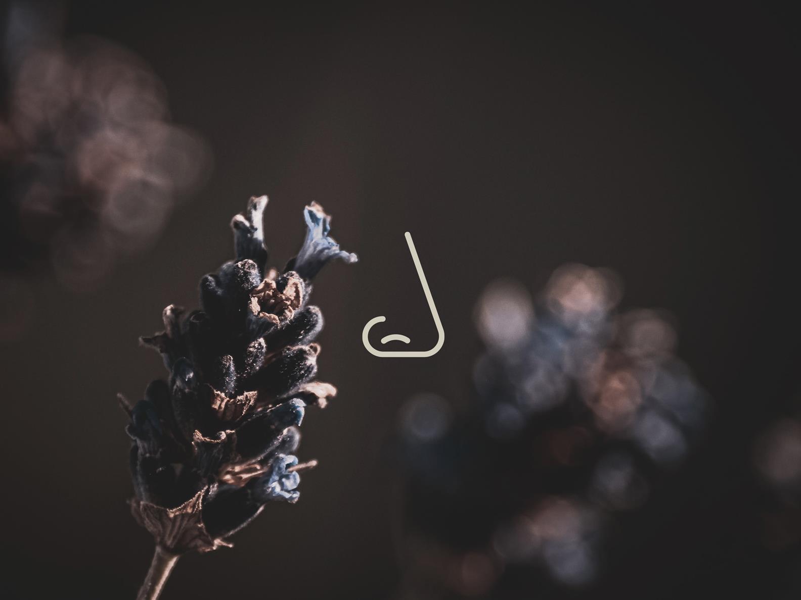 Subarticle SPA Story_5 senses_smell