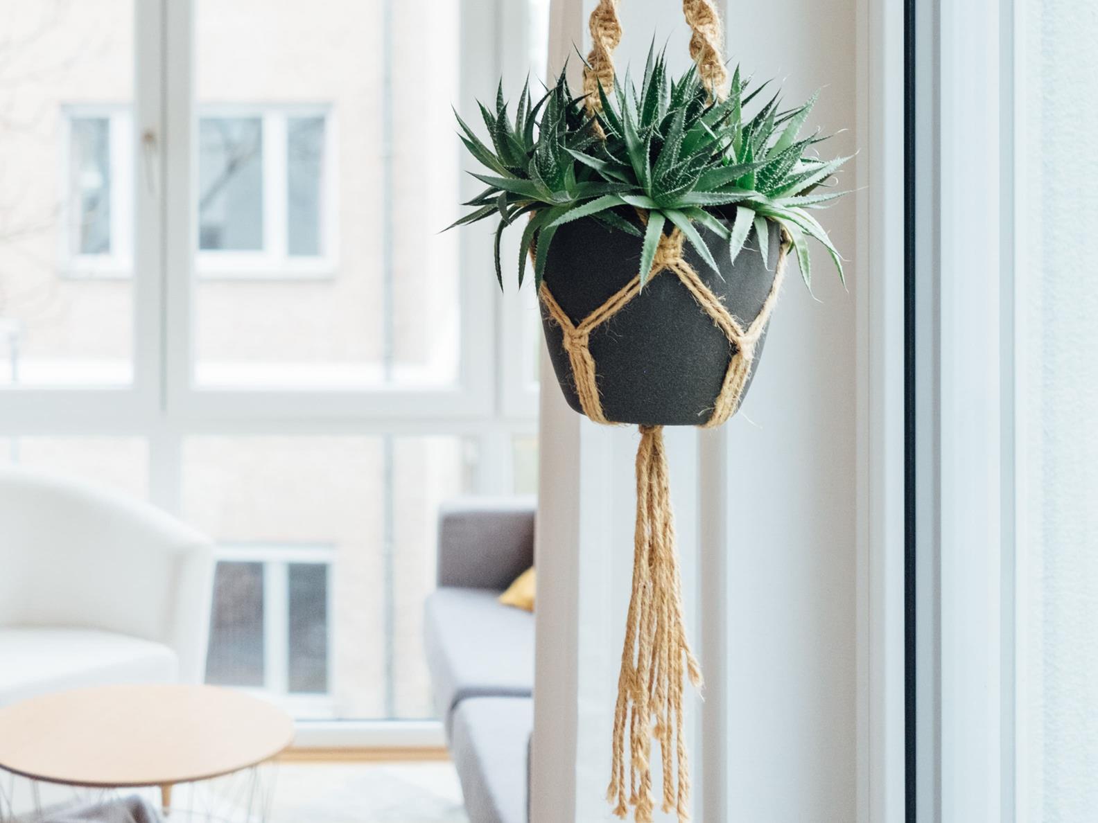 Student Accommodation