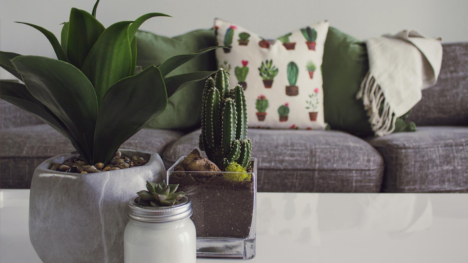 Biophilic Design_stock picture_coffee table with plants