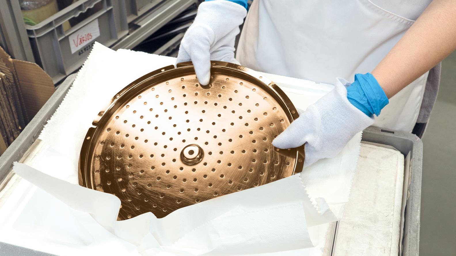 Plant Albergaria_shower head