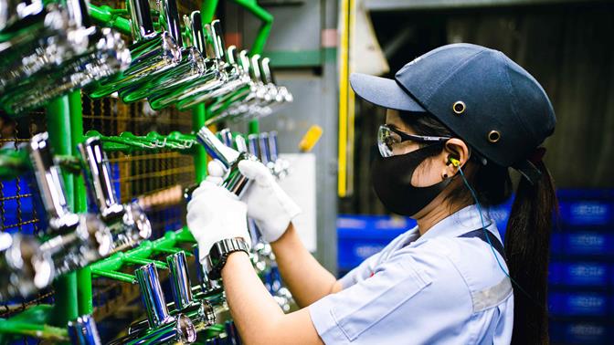 Plant Klaeng_stock picture_production