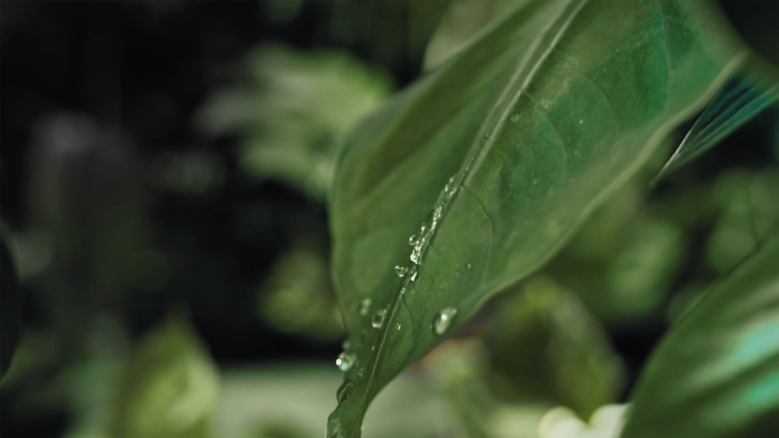 GROHE-X_Article_Recycling-Shower_4-in-a-row_01