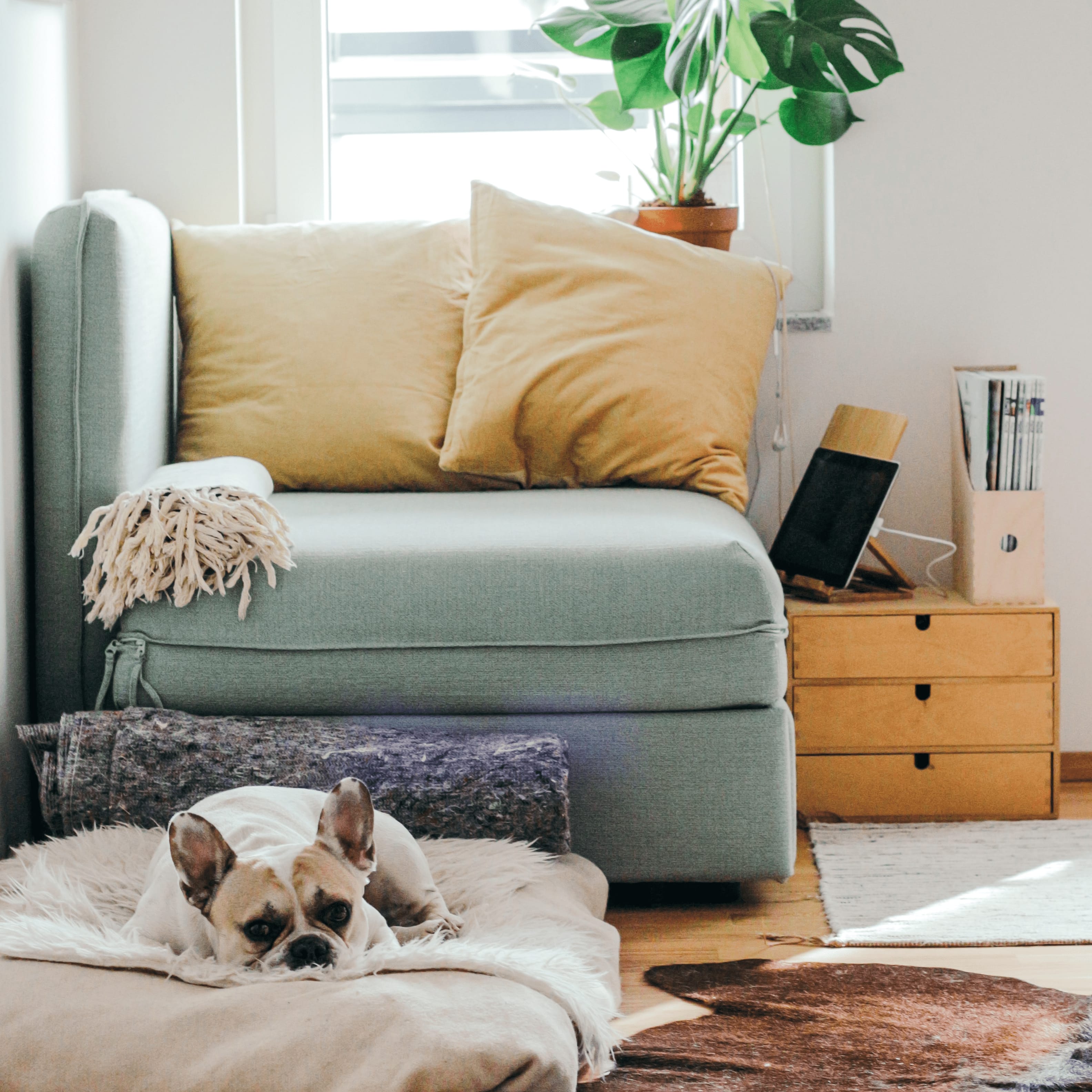 Collage-02_living room