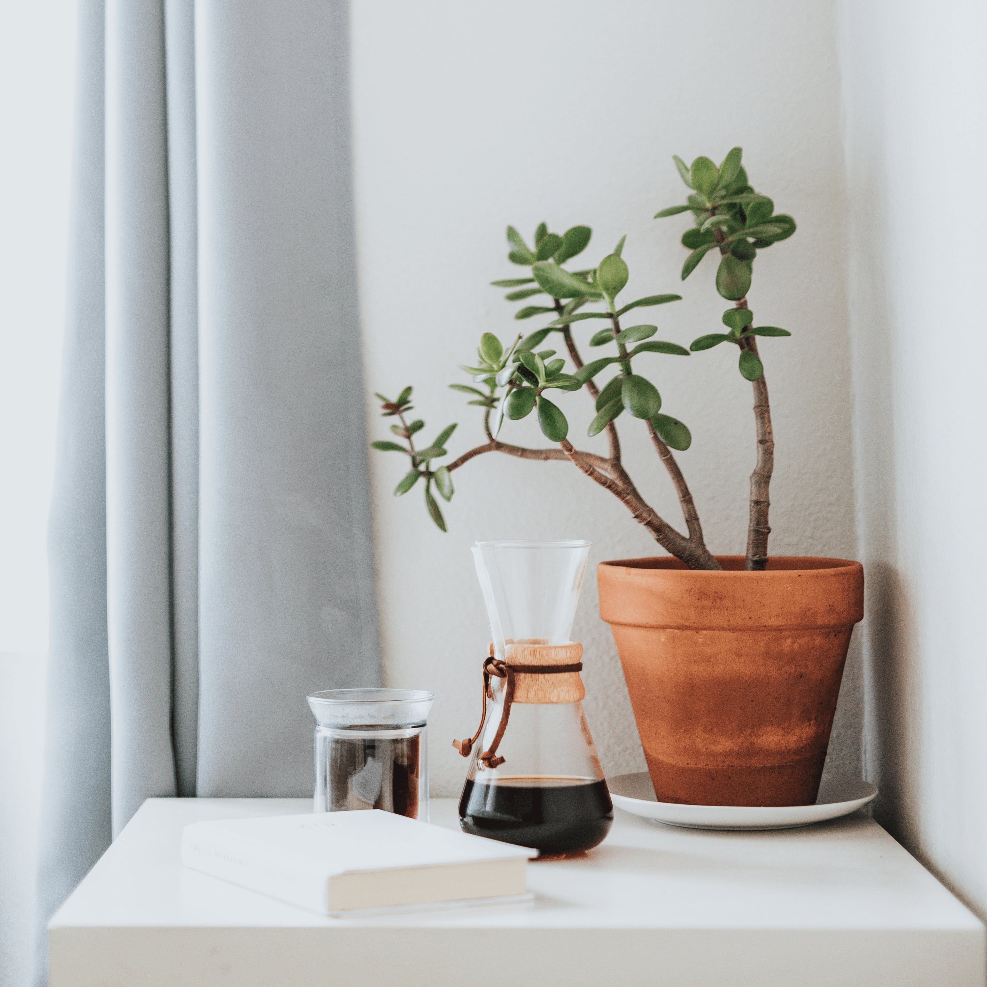 Collage-02_plant on sideboard