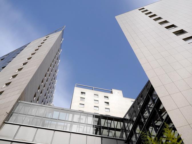 The New Wave - Robert Friedl